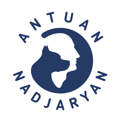 Школа Антуана Наджаряна