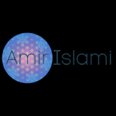 Школа Амира Ислами